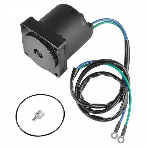 Motore inclinabile trim - motore,